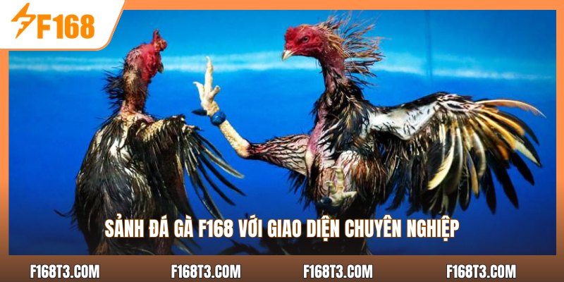 Sảnh đá gà F168 với giao diện chuyên nghiệp