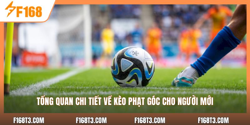 Tổng quan chi tiết về kèo phạt góc cho người mới